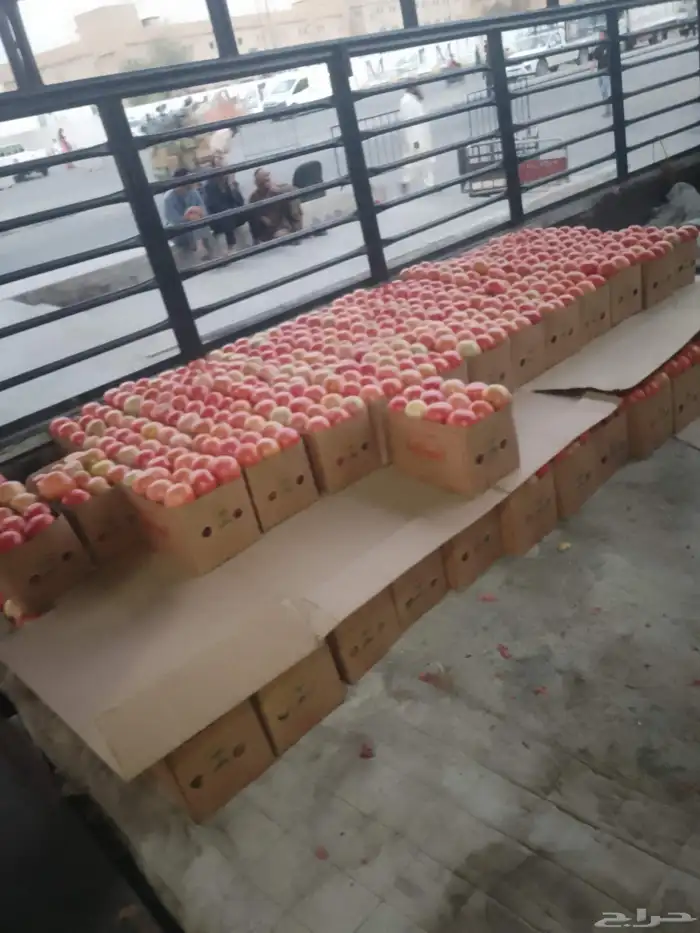 كرتون 5 كيلو طماط 0