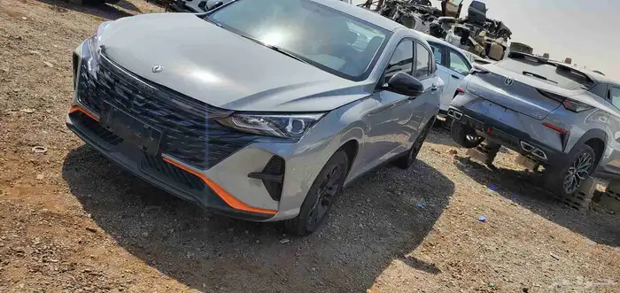 تشليح دونج فنج شاهين صيني 2024 5