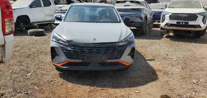 تشليح دونج فنج شاهين صيني 2024 0