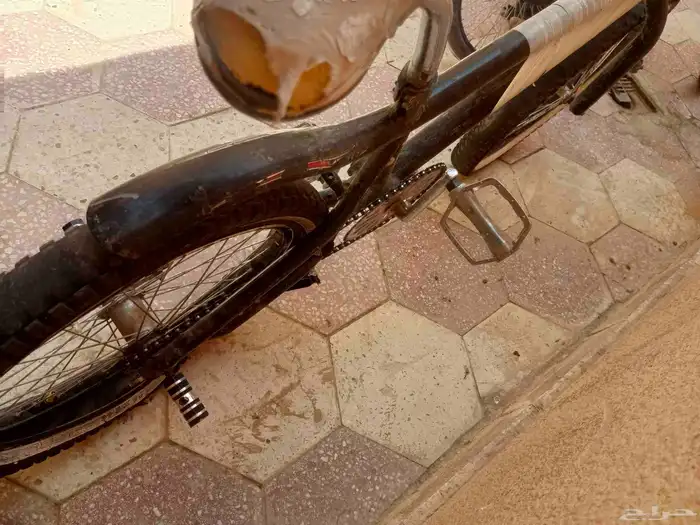 سيكل كوبرا مقاس 20او21للبيعع 2