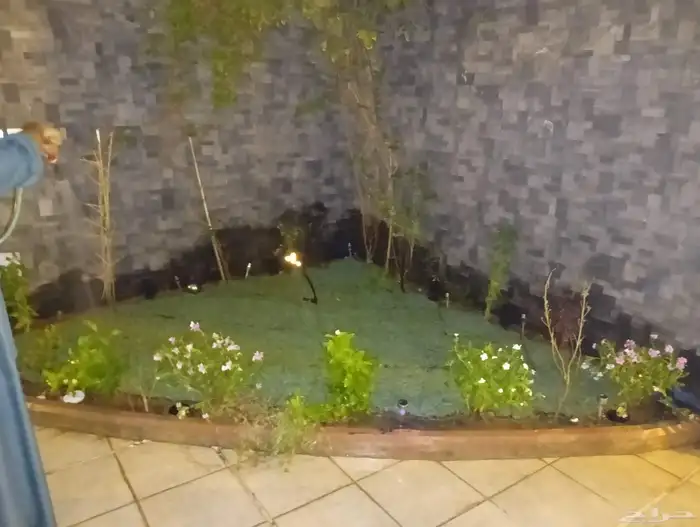 ثيل فرنسي ثيل سي الفين جميع انواع النباتات تنسيق الحدائق 4