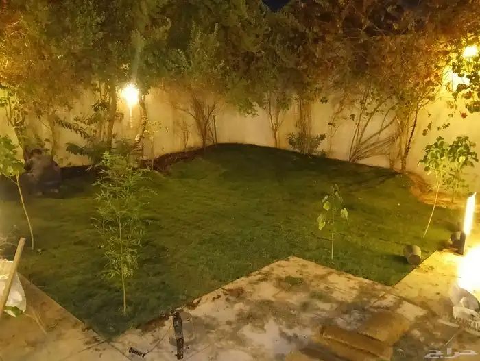 ثيل فرنسي ثيل سي الفين جميع انواع النباتات تنسيق الحدائق 5