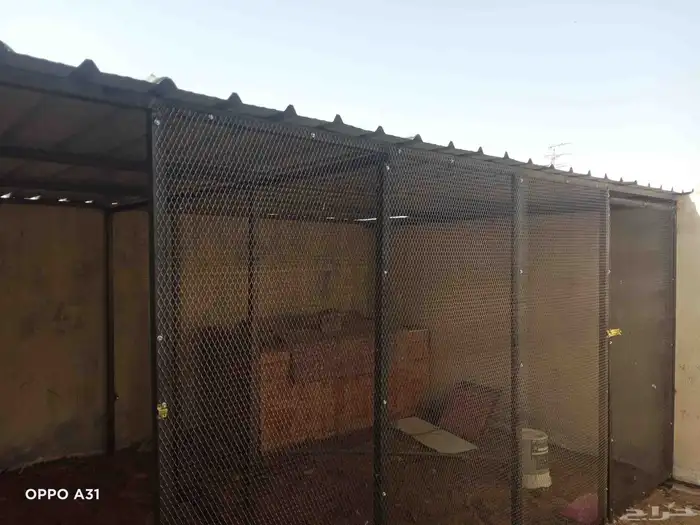 حداد لحام مظلات وعوازل وتشطيب 2