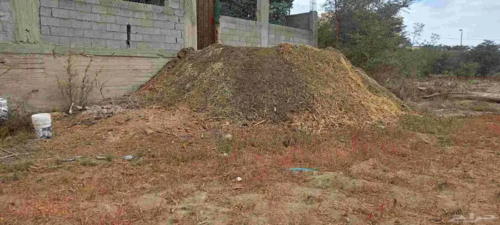سماد اغنام ( اكرمكم الله ) 2