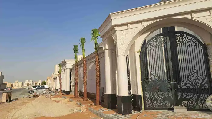 نخل واشنطن زينه للبيع 6