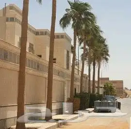 نخل واشنطن أمريكي واشجار 5