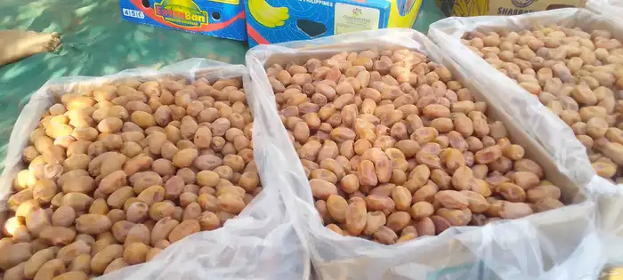 خلاص فاخر حبه طيبه 1