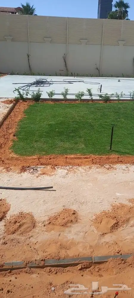 تنسق حدق شبكات راي توماتيك وعادي وجميع الاسيار 7