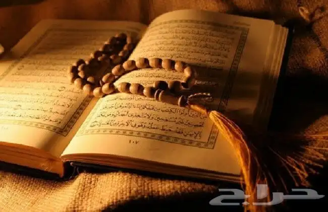 معلم قرآن كريم حضورى وعن بعد 0