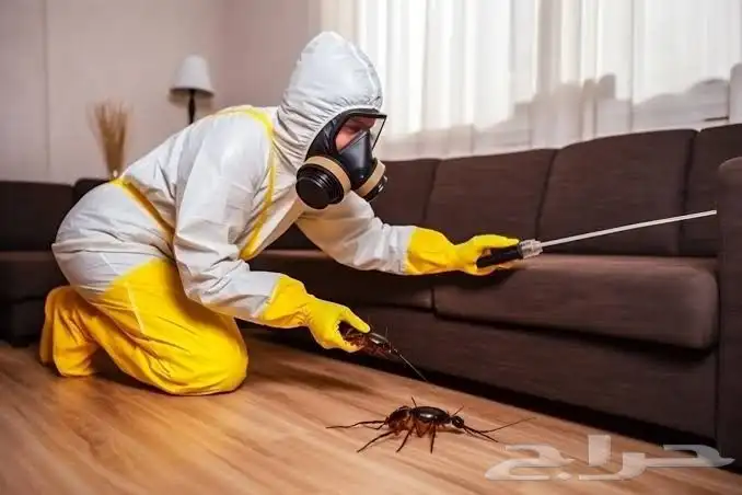 شركة مكافحة حشرات تنظيف مكيفات غسيل مجالس 8