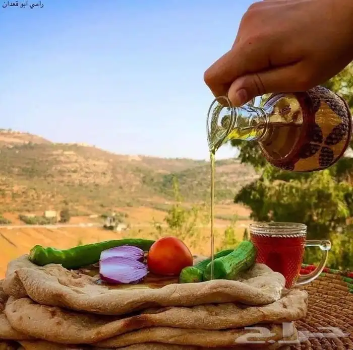 زيت زيتون جبلي نابلسي فلسطيني عالي الجودة فاخر لكل المناطق 1