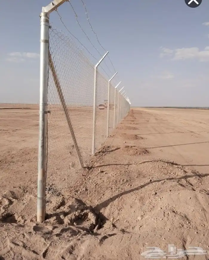 يوجد لدينا من جميع انواع الفروخ والنخيل النقايل تشبيك المزار 5