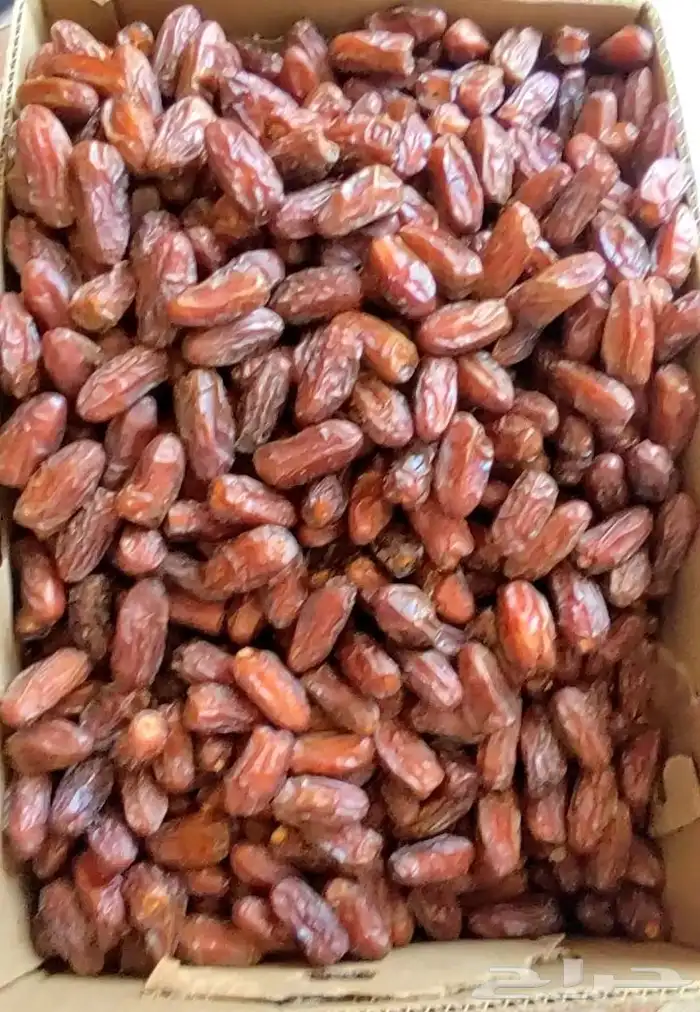 تمر صفري صافي 0