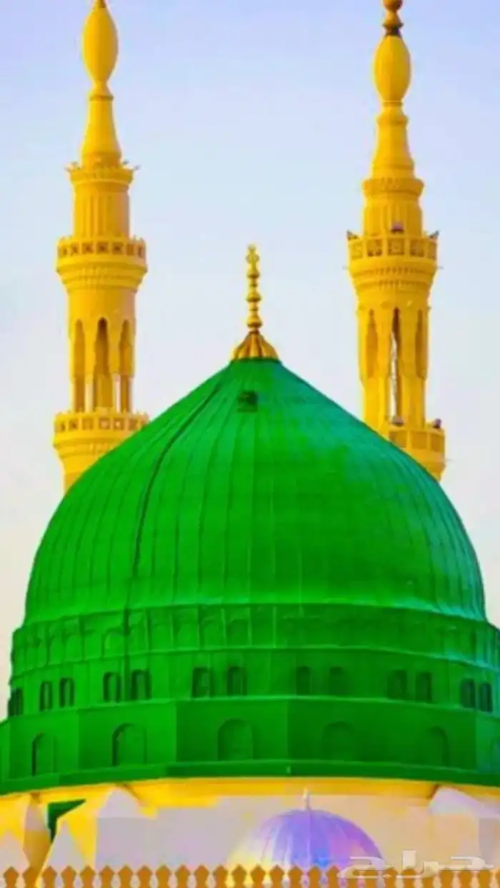 الحمد لله حافظ القرآن ابحث عن حلقات تحفيظ 0