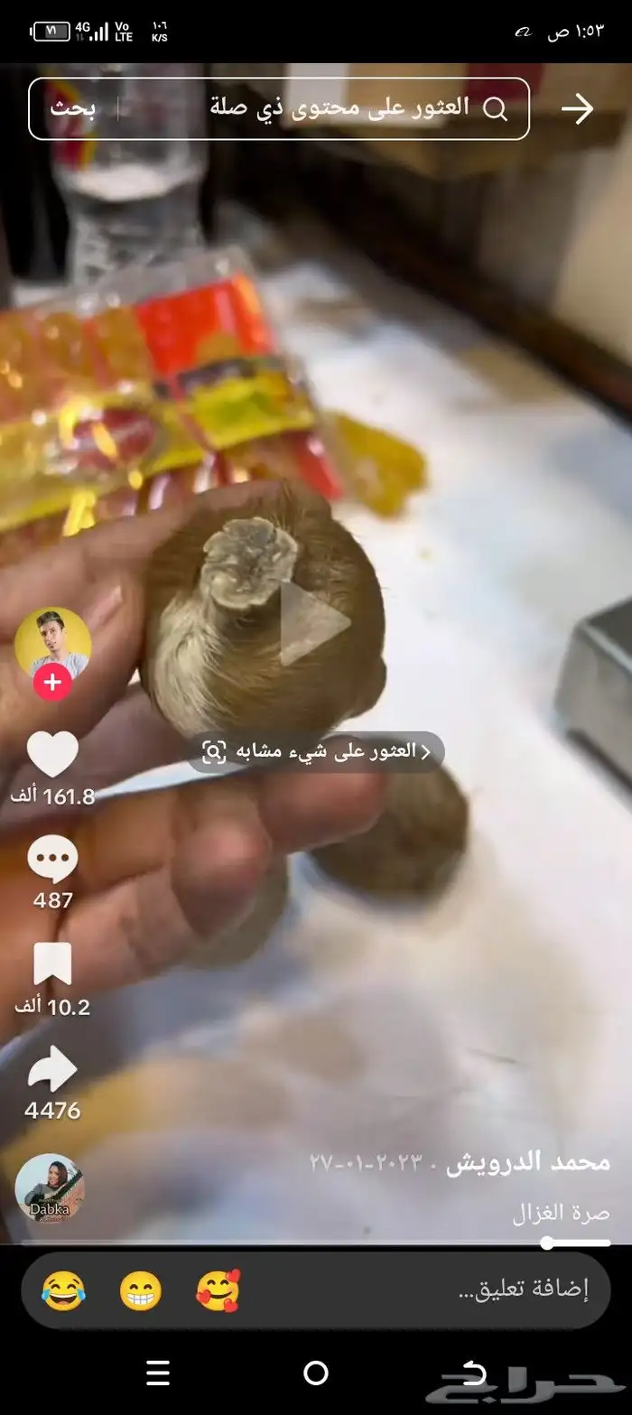 مسك الفزال 0
