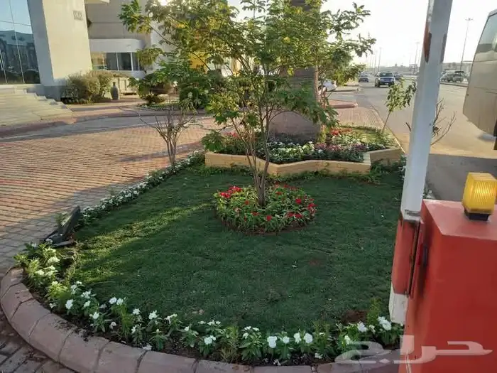 ثيل فرنسي ثيل سي الفين جميع انواع النباتات تنسيق الحدائق 9