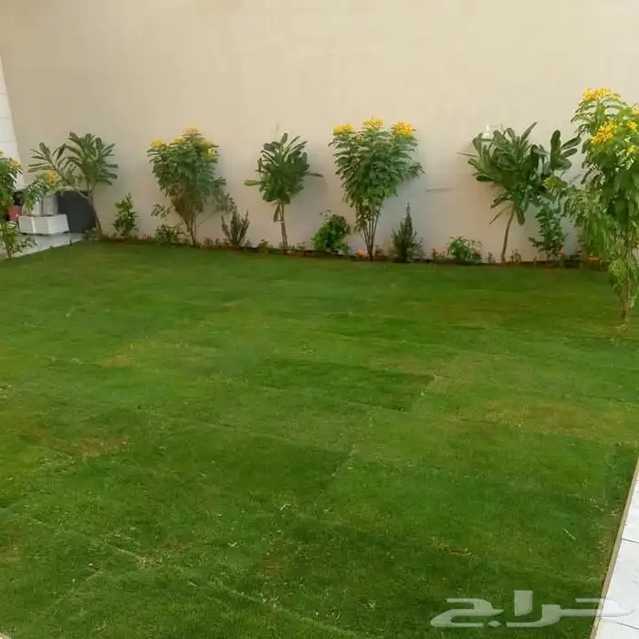 ثيل فرنسي ثيل سي الفين جميع انواع النباتات تنسيق الحدائق 8