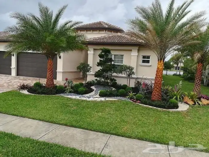 السلام عليكم ورحمه الله وبركاته عندنا نخل طيب متواجد في مكه 8