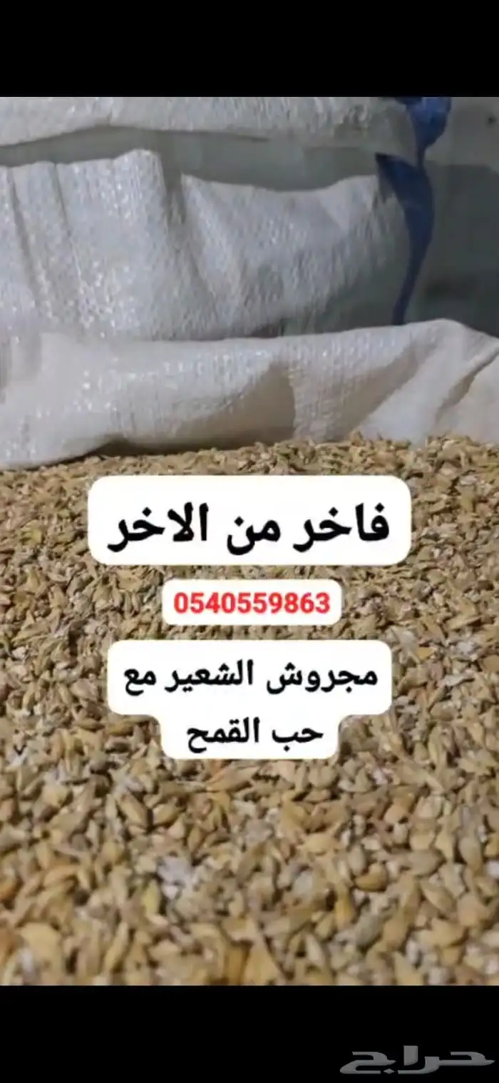 شعير مجروش 0