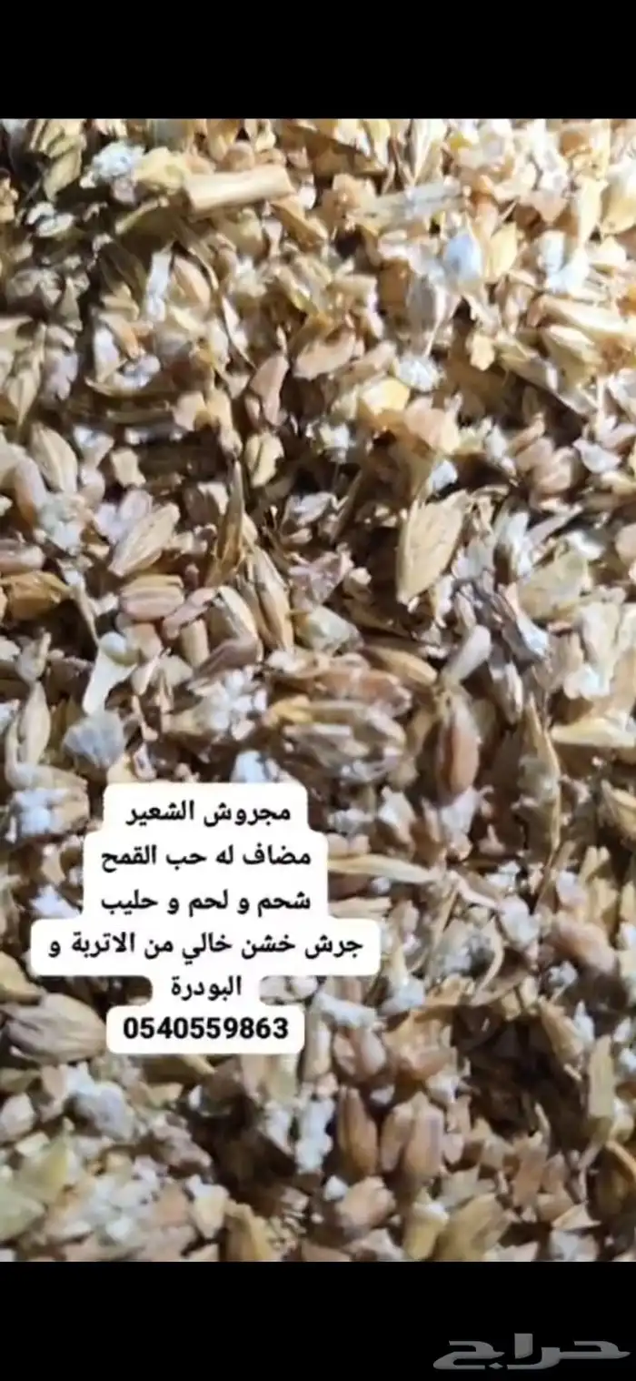 شعير مجروش 1