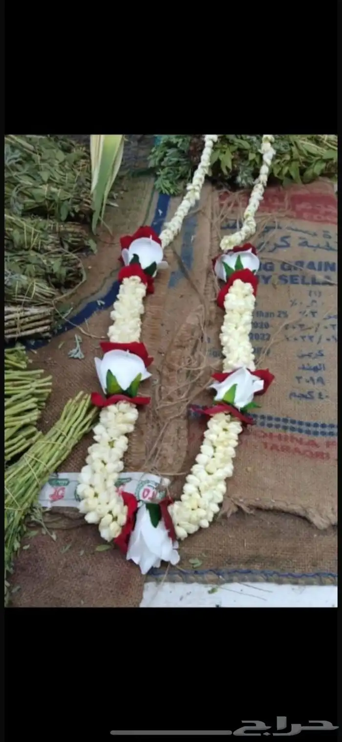 للفل البلدي والورد الطبيعي 1