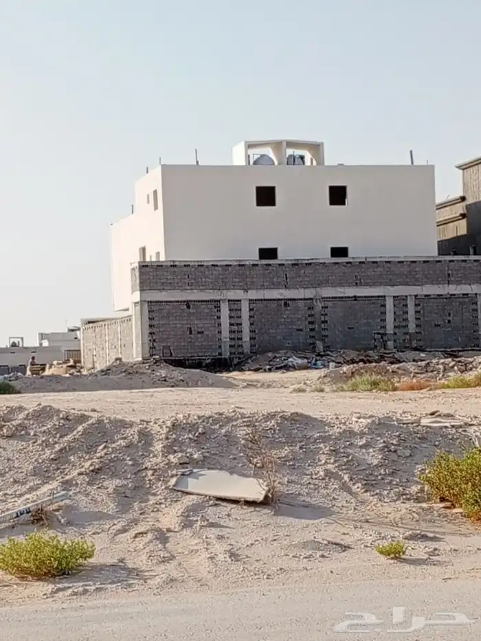 صباغ الأحساء 0