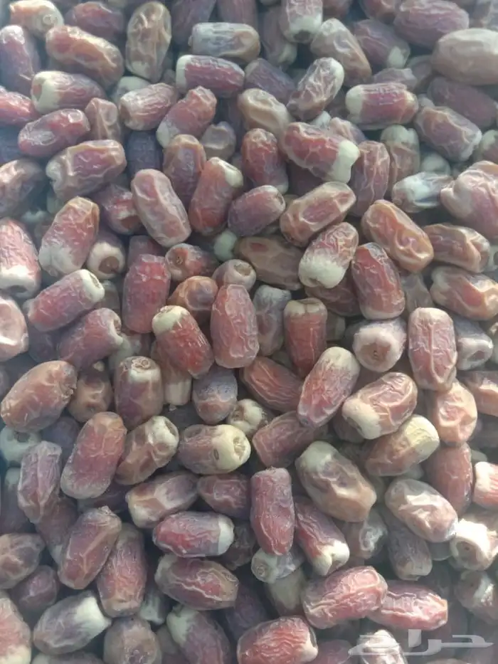 تمر صقعي مبروم طيب 0