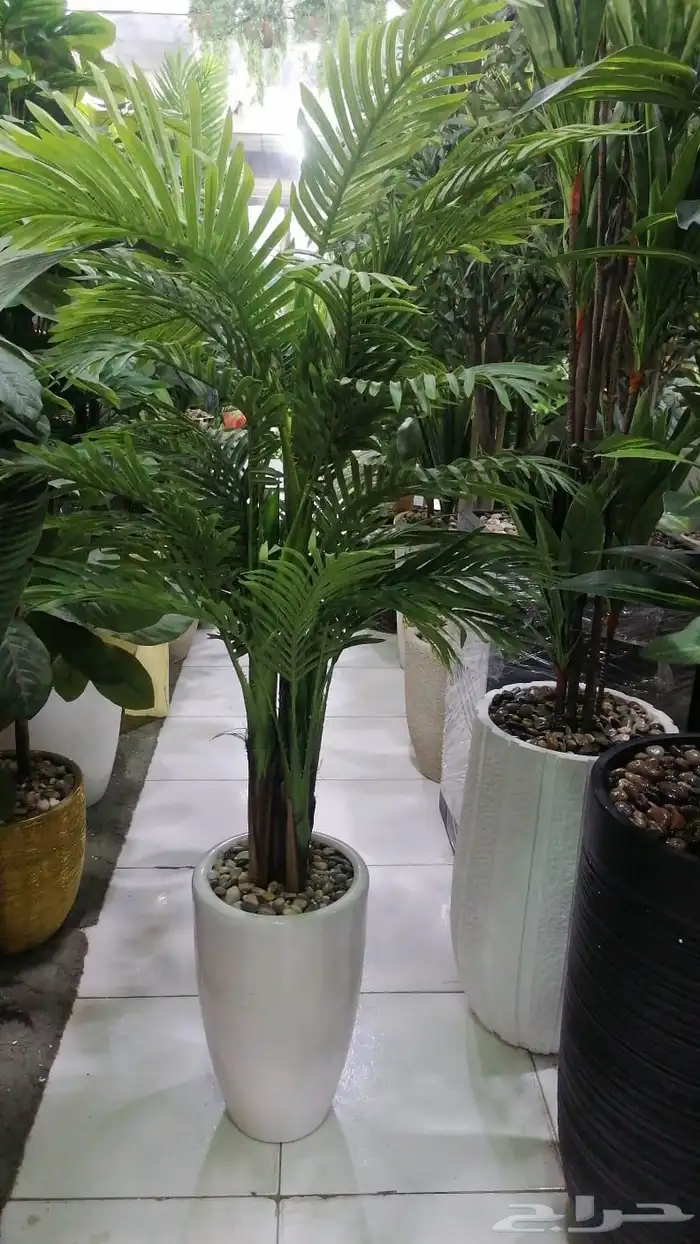 زرع صناغى مع أحواض فيبر 8