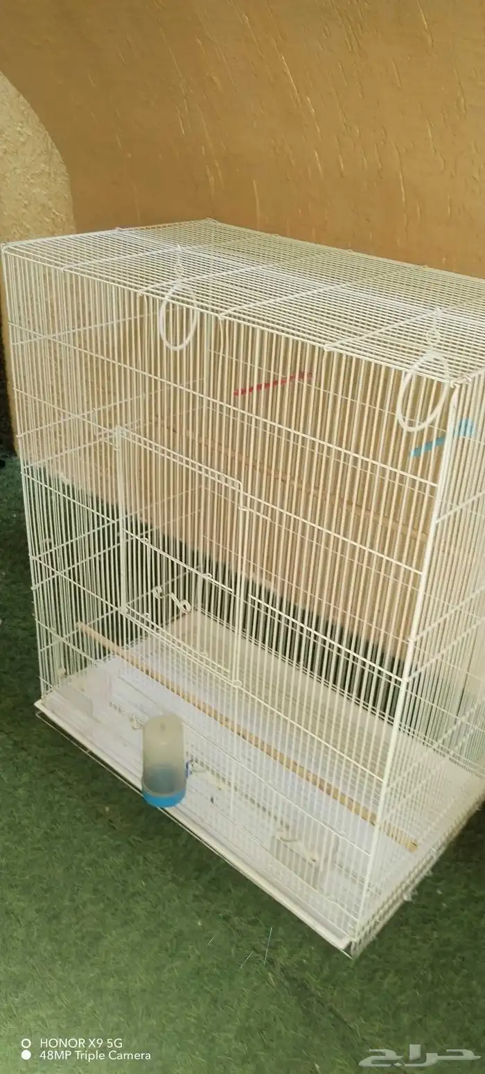 فقص طيور كبير 2