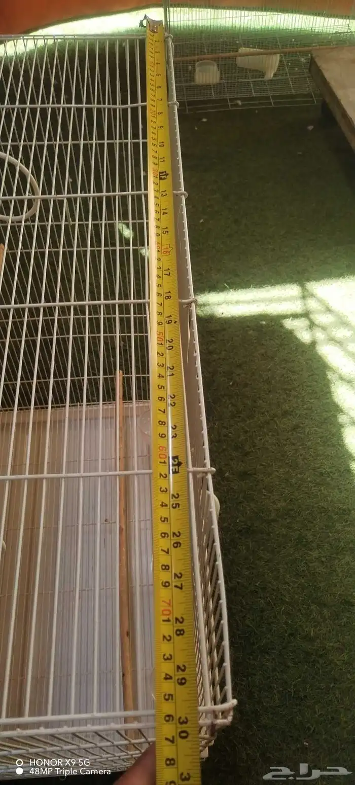 فقص طيور كبير 4