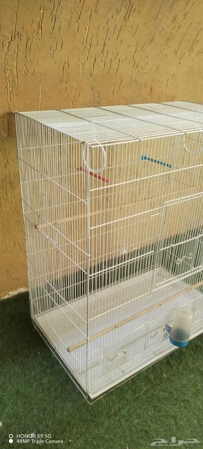 فقص طيور كبير 1