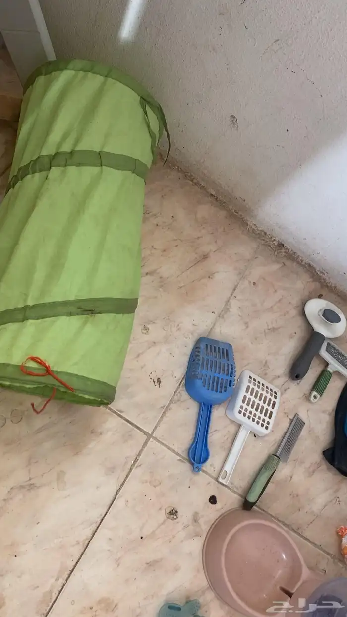 للبيع أغراض قطط بسعر رخيص 0
