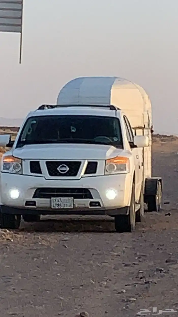 عربه نقل خيل مجهزه اسعار منافسه 2