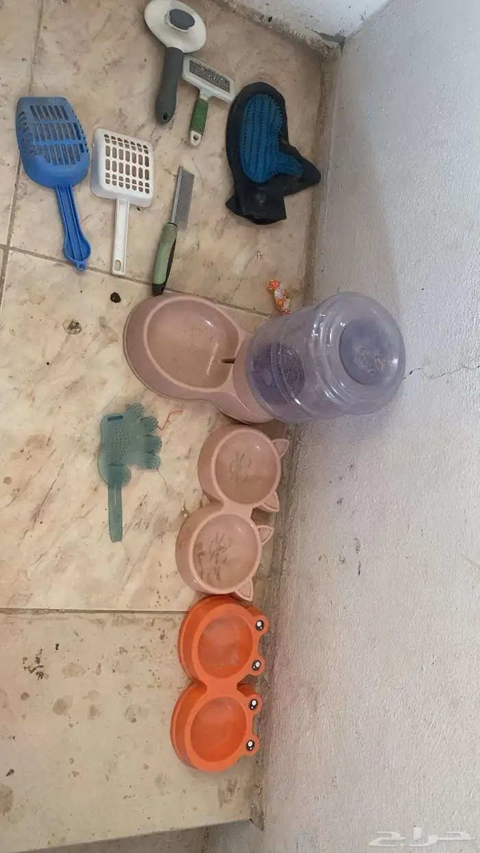 للبيع أغراض قطط بسعر رخيص 1