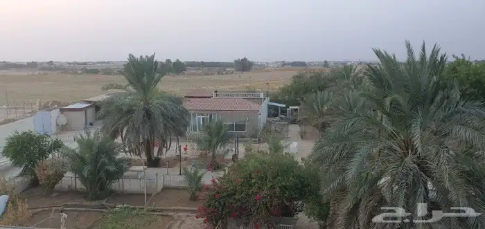 مزرعة بوسط الخرج للبيع 12