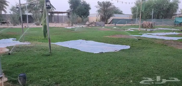 مزرعة بوسط الخرج للبيع 3