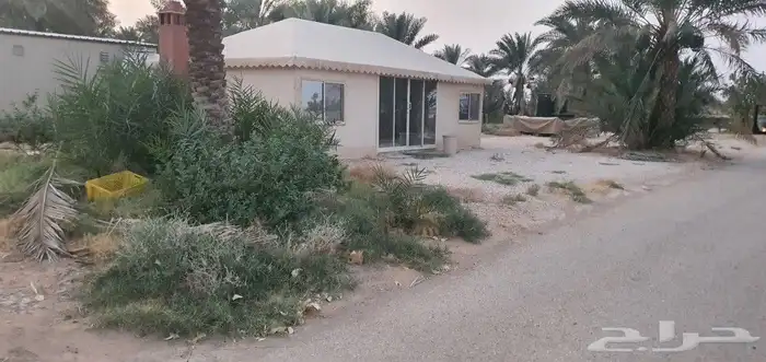 مزرعة بوسط الخرج للبيع 11