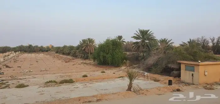 مزرعة بوسط الخرج للبيع 9