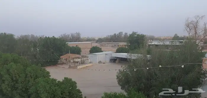 مزرعة بوسط الخرج للبيع 15