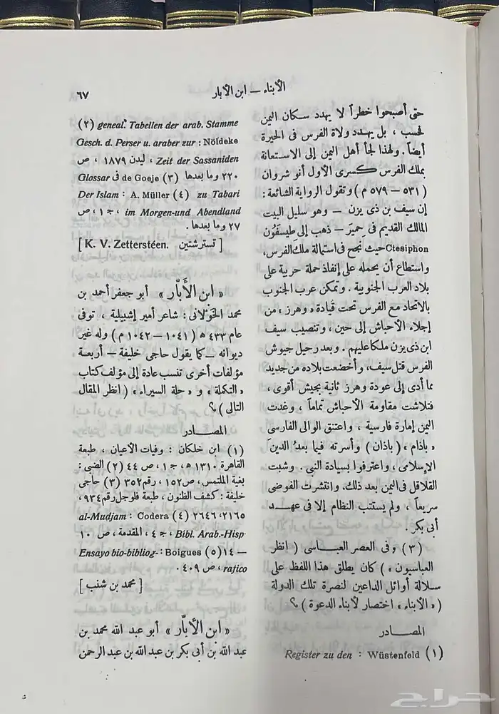 كتاب دائرة المعارف الإسلامية 8