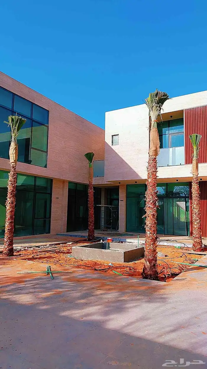 نخل نخيل واشنطن وصيانة الحدائق 2