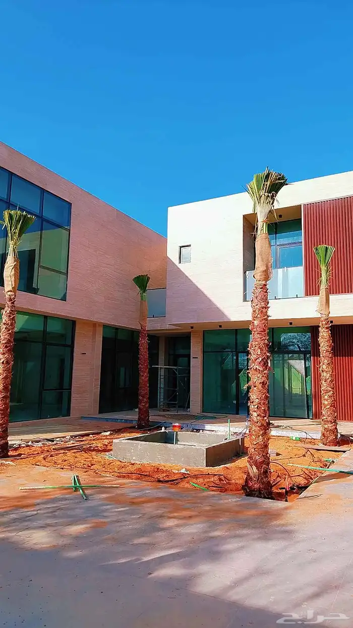 نخل نخيل واشنطن وصيانة الحدائق 3