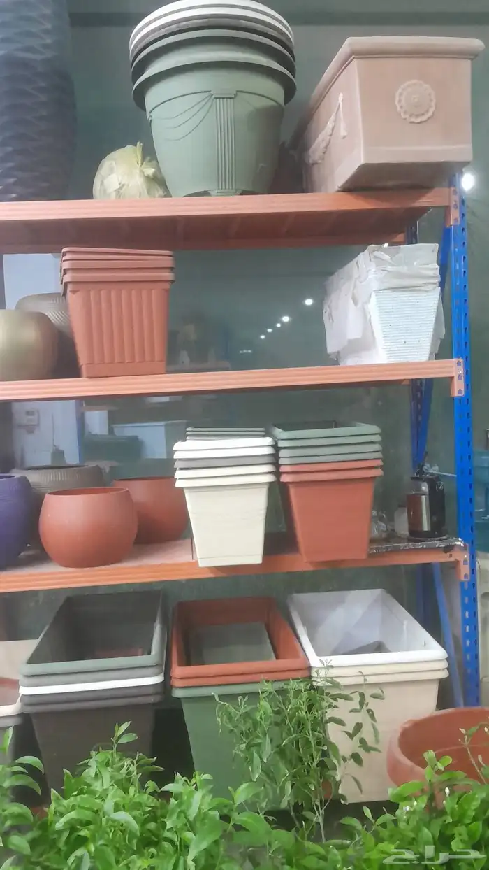 تنسيق حدائق 2