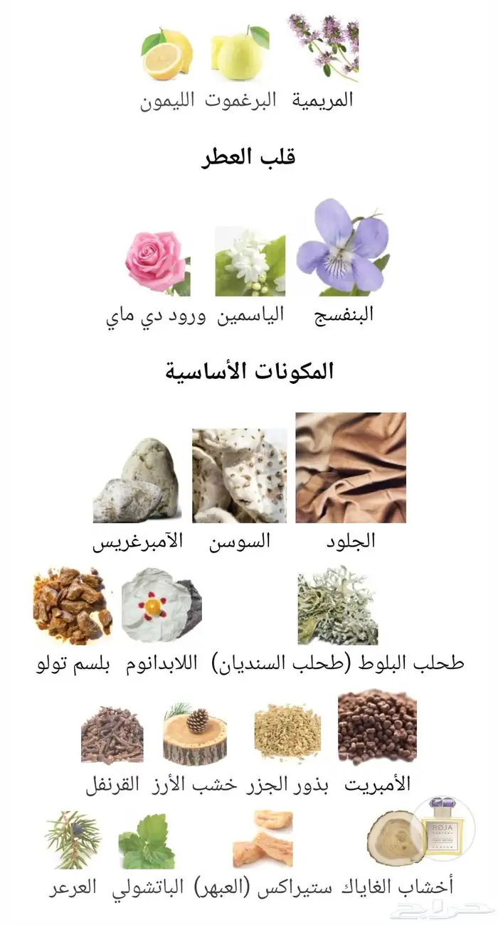 ( مباع ) عطر روجا بريطانيا العظمى 5
