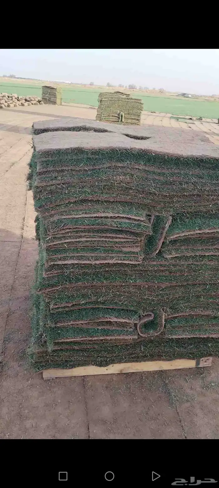 ثيل طبيعي درجه اولى سي 2000 وانتورو وياباني وفرنسي توريد وزر 2