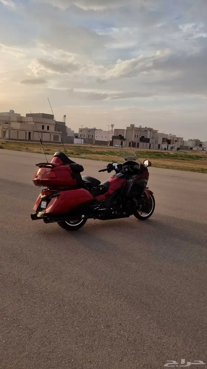 قولد وينق 2012 لفل 3 6