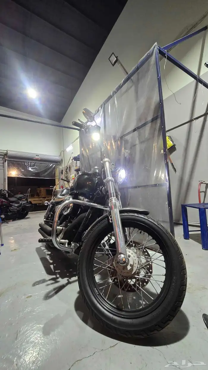 هارليharley davidson street bob 3
