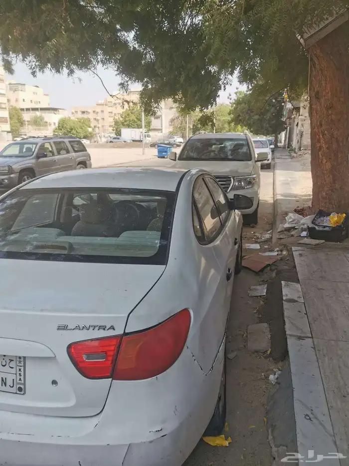 النترا 2008 4