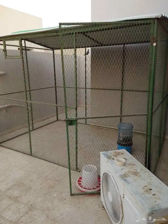 قفص3طول 3عرض2.5ارتفاع ينفع حمام دجاج بط ارانب عصافير نضيف 2