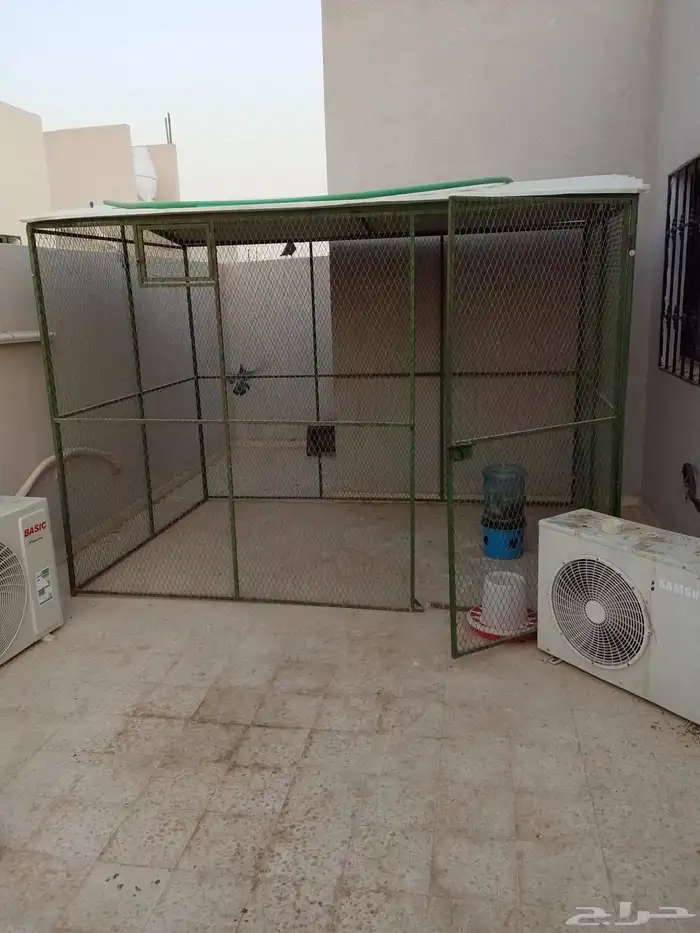 قفص3طول 3عرض2.5ارتفاع ينفع حمام دجاج بط ارانب عصافير نضيف 0